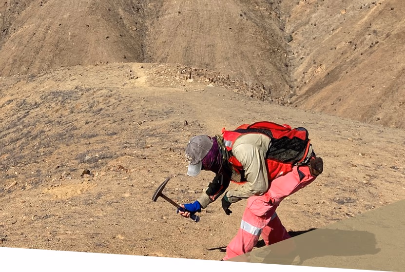 Latin Metals y AngloGold Celebran Acuerdo de Opción Definitiva Sobre Proyectos de Exploración de Oro, Provincia de Salta, Argentina