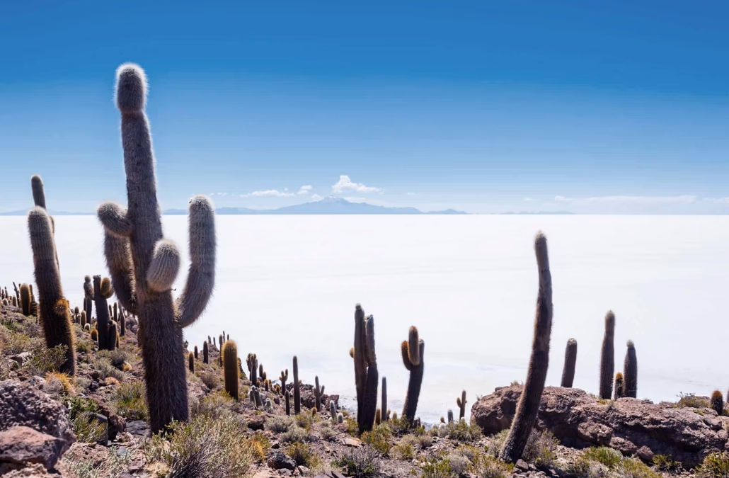 Lithium Chile actualiza el programa de perforación Turi y los programas de exploración en marcha a pesar de las protestas chilenas