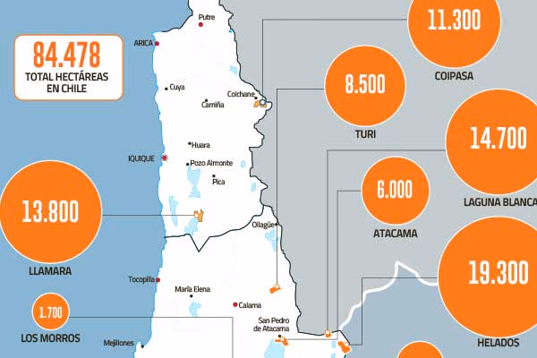 Lithium Chile: firma de inversionista chino que fue expulsado de Canadá tiene 16 proyectos en el Norte Grande