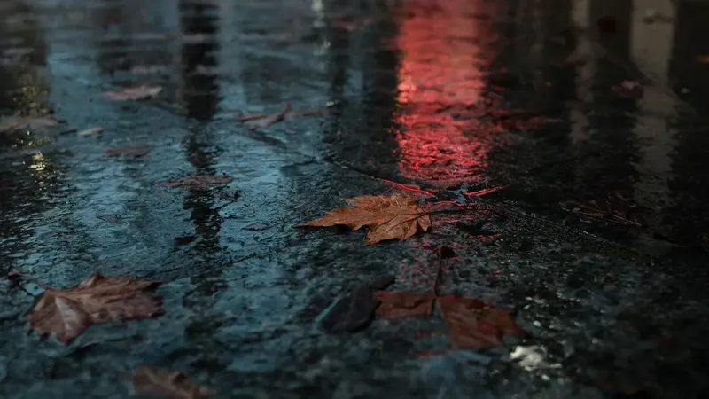 Lluvias y descenso de temperaturas marcan inicio de otoño en Chile
