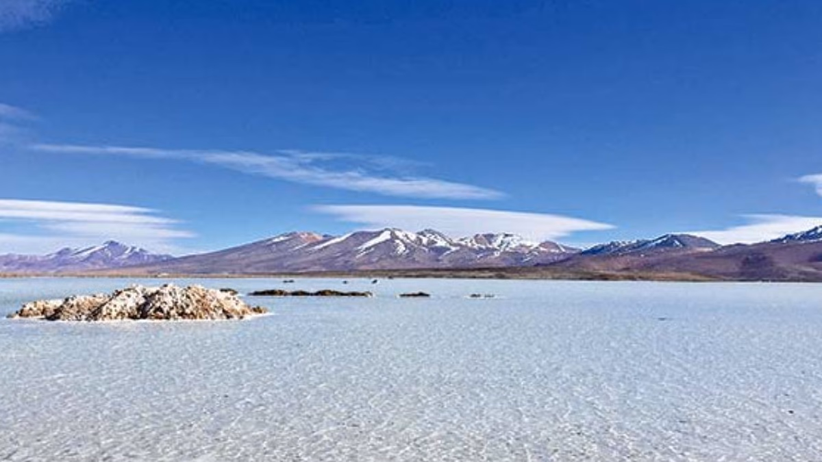 Los intereses de Tsingshan, Lithium Chile y Wealth Minerals por explotar los salares prioritarios