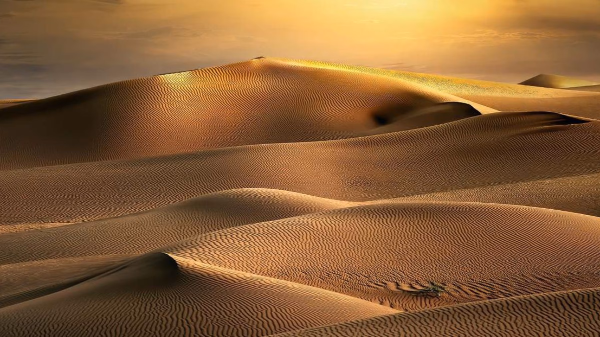 Maaden Descubre Nuevos Yacimientos de Oro en Arabia Saudita: Un Impulso para la Producción Nacional