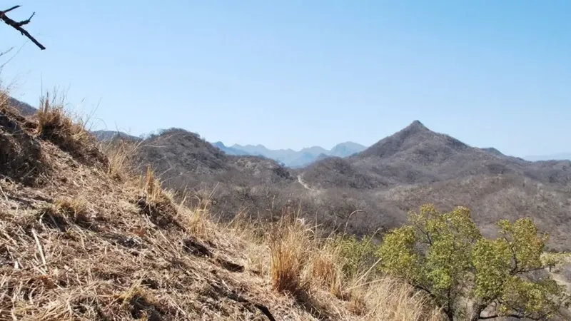 Mercado Minerals inicia el programa inaugural de perforación diamantina de 3.000 metros en Copalito