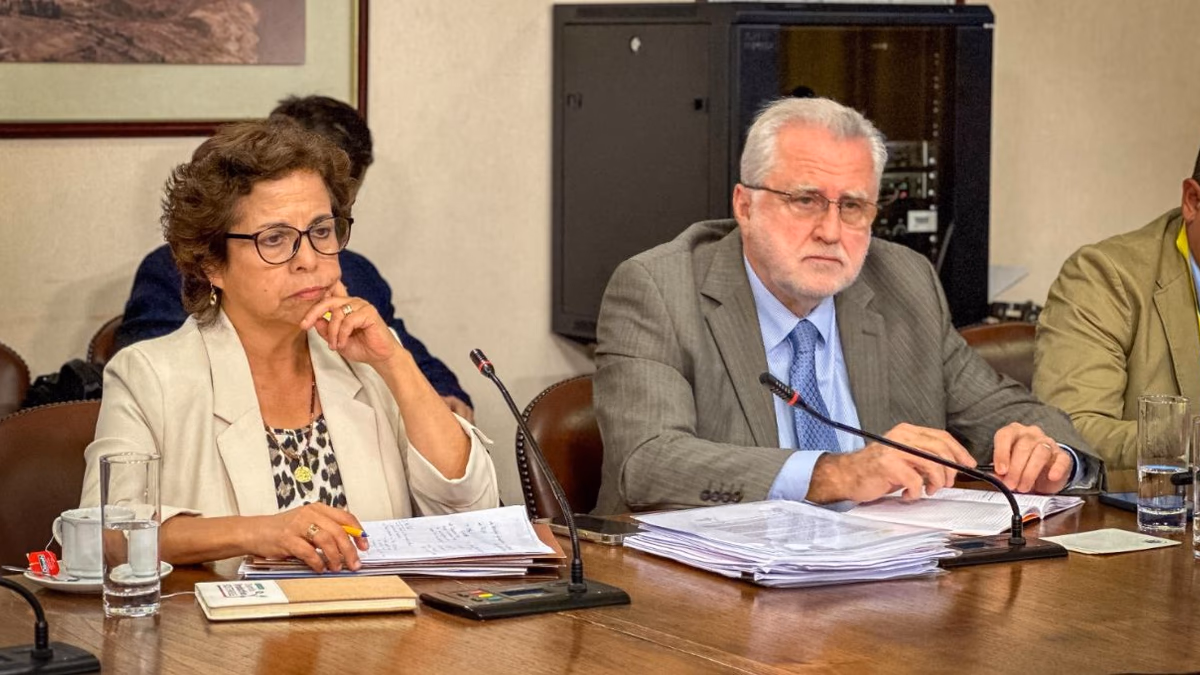 Ministra Williams destaca avances en la implementación de la Estrategia Nacional del Litio