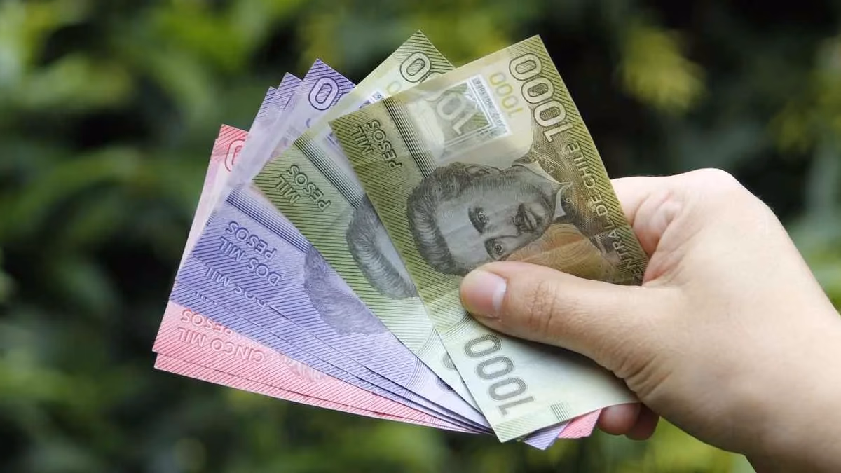 Monto aumentado de $250 mil de la PGU comienza a regir la próxima semana: Revisa acá si te corresponde