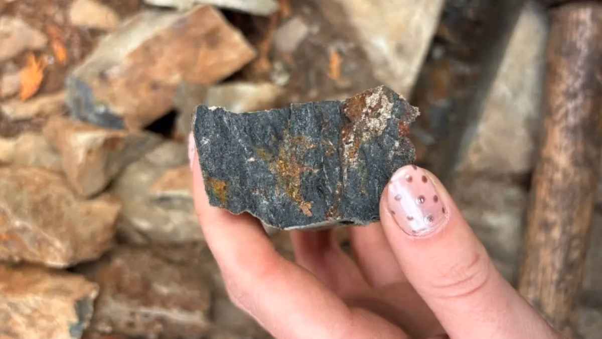 New Age Metals Options Magnet Lake Property ampliando aún más el Proyecto de Oro y Metales Críticos Bonanza Ridge, Distrito Minero de Kenora, Ontario