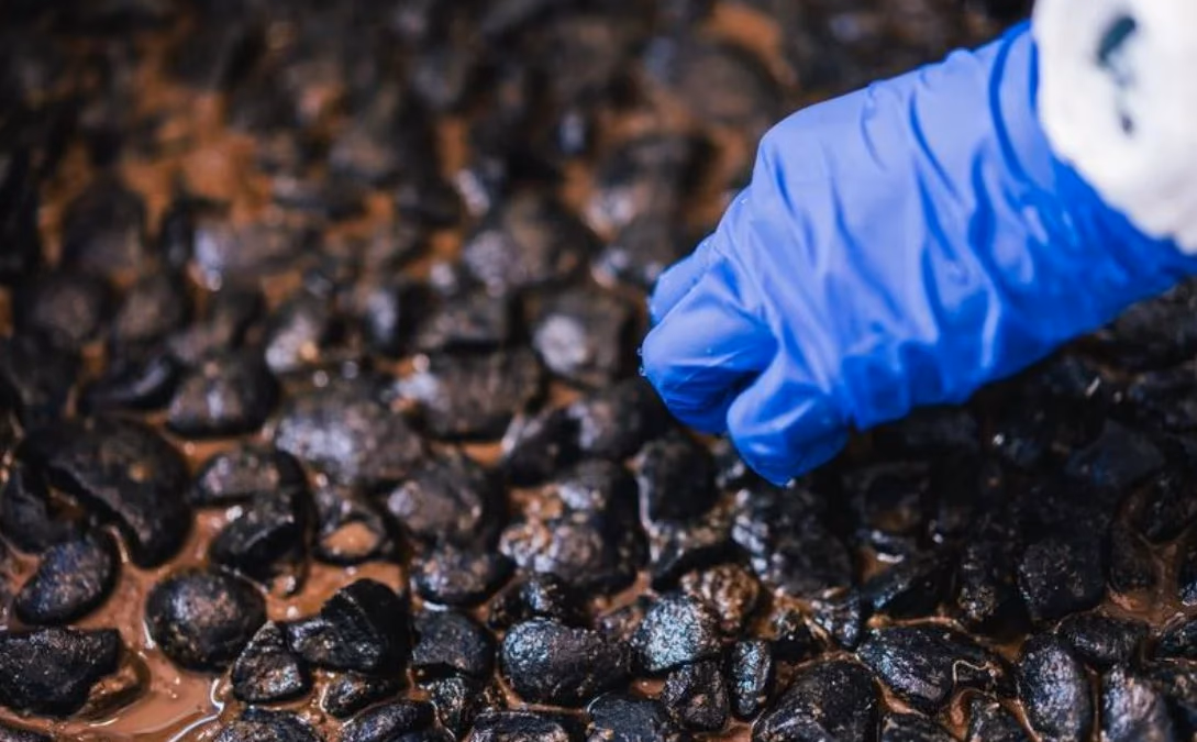 Noruega se convertirá en uno de los primeros países en iniciar la minería en aguas profundas