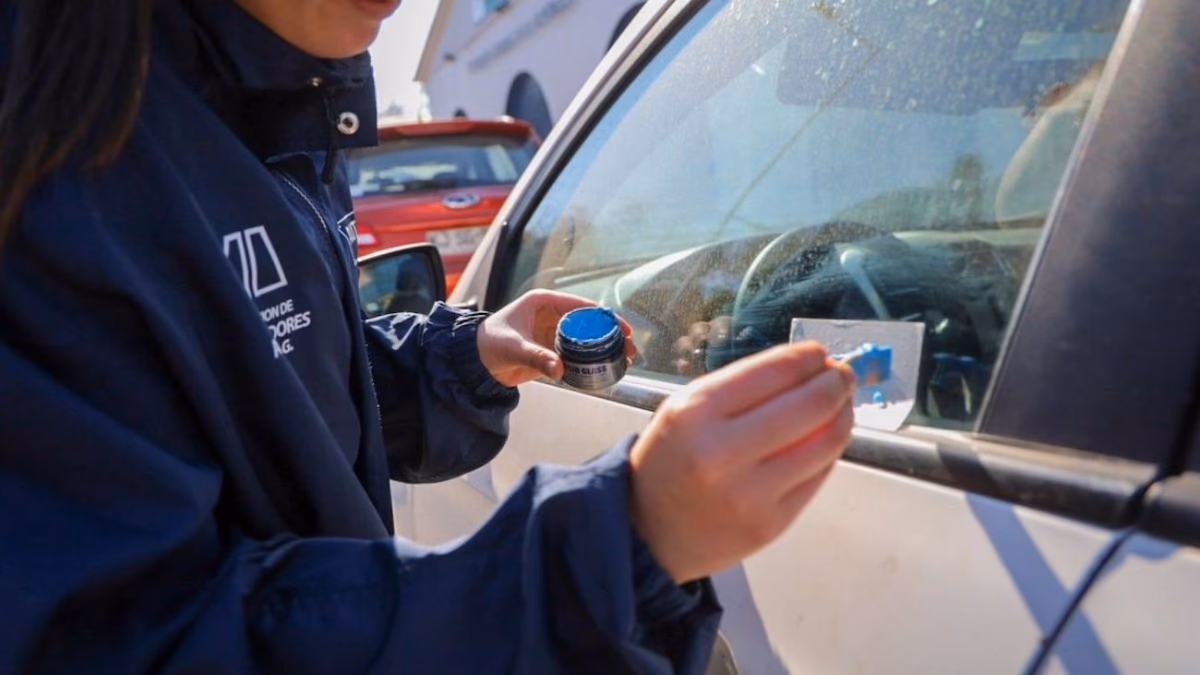 Nueva Regulación de Seguridad Vehicular: Obligatorio el Grabado de Patentes en Vidrios y Espejos para Prevenir Robos
