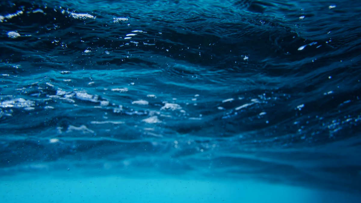 Nueva Zelanda revisará los riesgos y beneficios de la minería de los fondos marinos