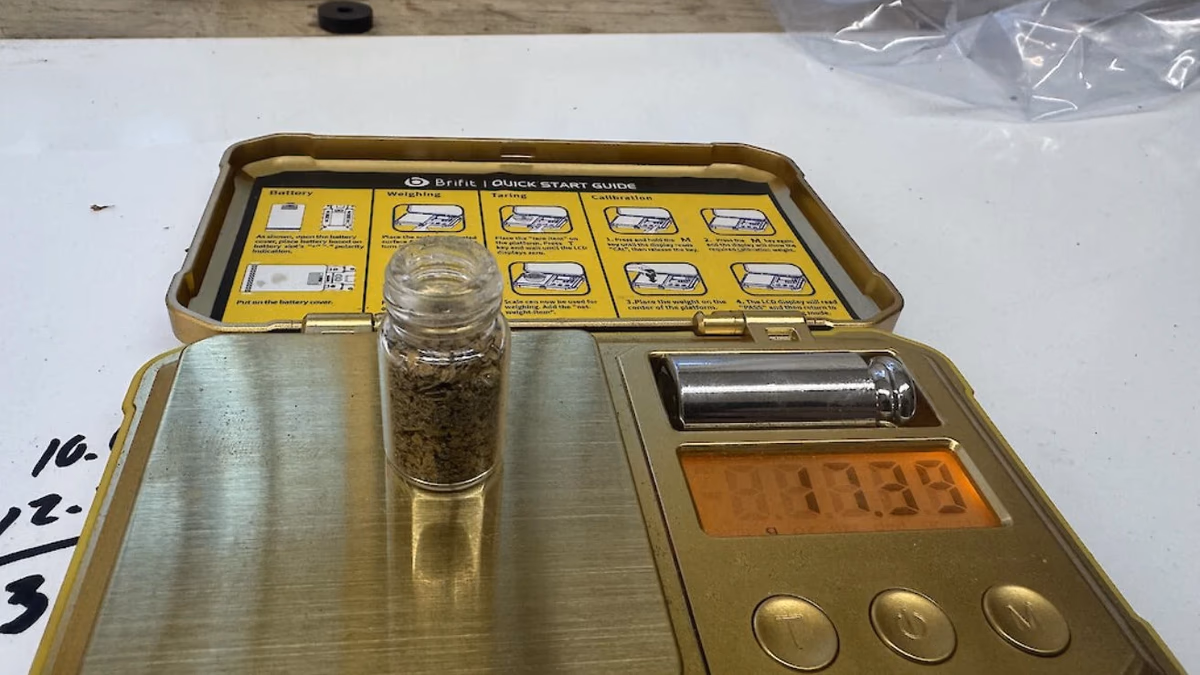 Omineca Mining inicia la recuperación de oro aluvial en Wingdam