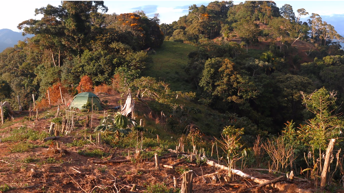 Perú: Hannan descubre un nuevo grupo de pórfido alcalino-oro-cobre epitermal en Valiente