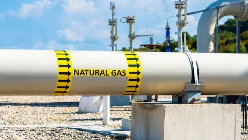 Petrobras Argentina exporta gas de Vaca Muerta a Brasil: logro histórico