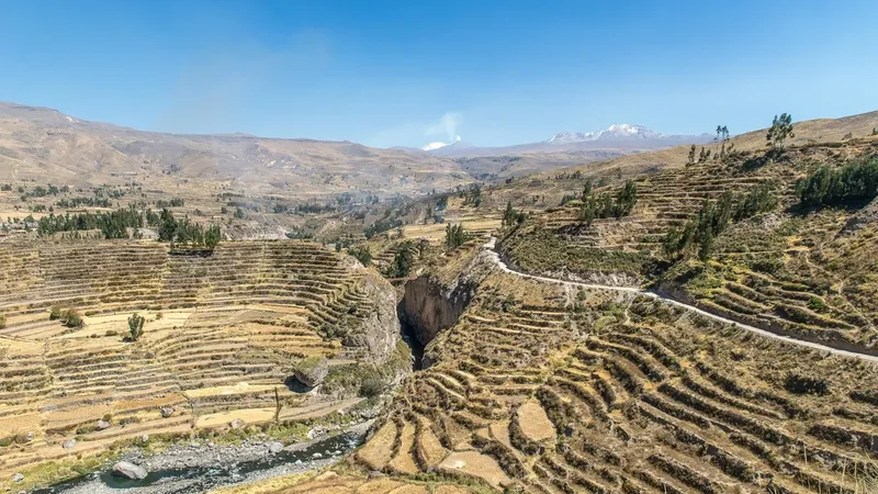 Super Copper identifica corredor magnético de 3,5 km en proyecto Cordillera Cobre