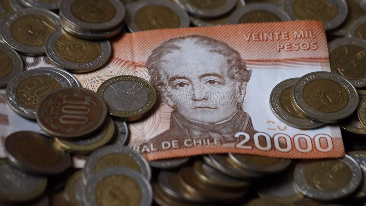 PGU: estas son las personas que no pueden acceder al aporte de hasta $224.000 mensuales