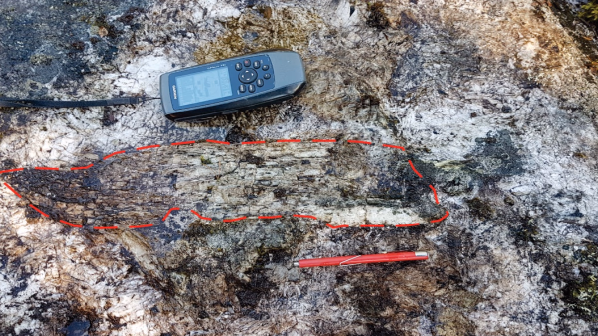 Power Metals ofrece más resultados de cesio y tantalio de alta calidad de Case Lake