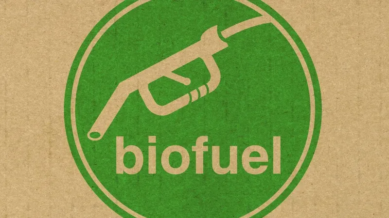 Producción récord de biocombustibles en Brasil impulsa cooperación internacional