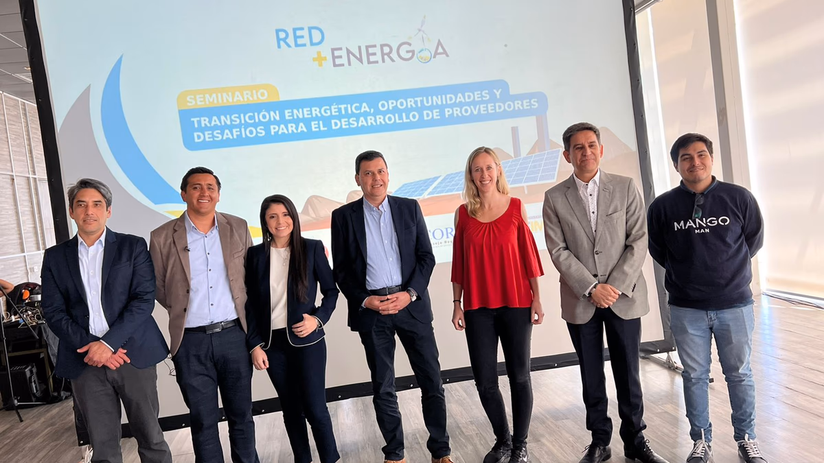 Programa Red+Energía convocó más de un centenar de personas en seminario de transición energética