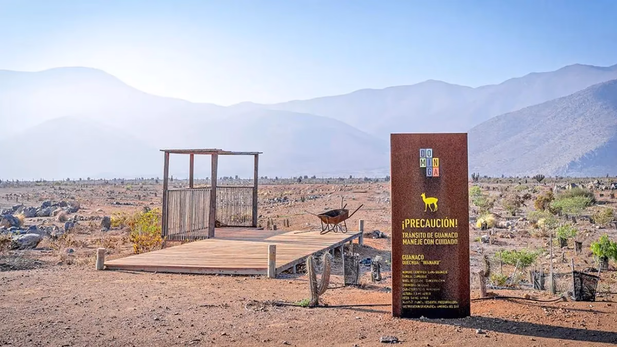 Proyecto Dominga: Corte ordena acto complementario y Andes Iron reafirma continuidad tras 12 años de tramitación