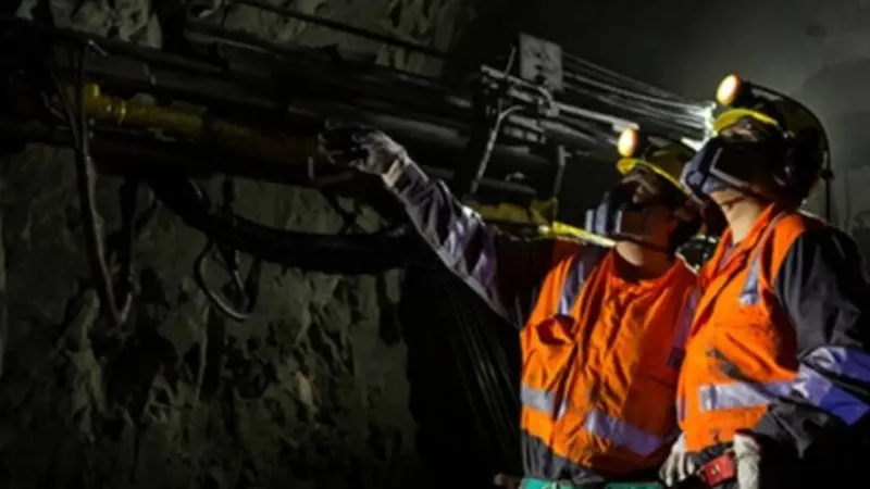 Pucobre duplica utilidades en 2025 y su acción acumula un alza superior al 50% en lo que va de 2026