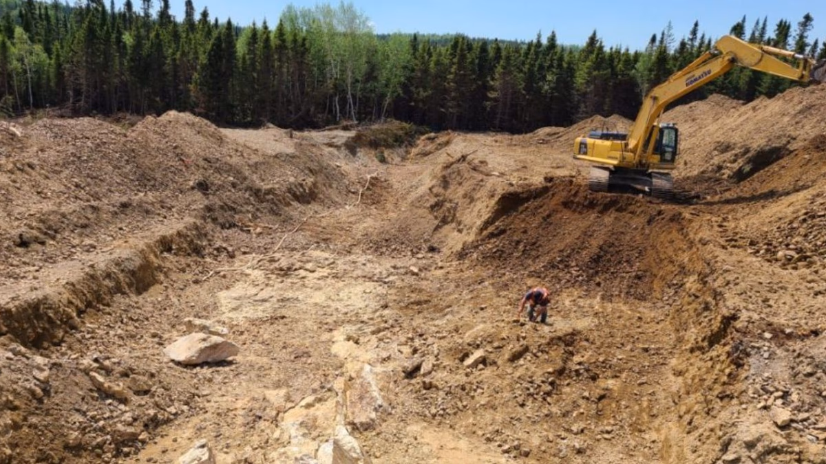 Puma Exploration adquiere Proyecto de Oro McKenzie en Quebec