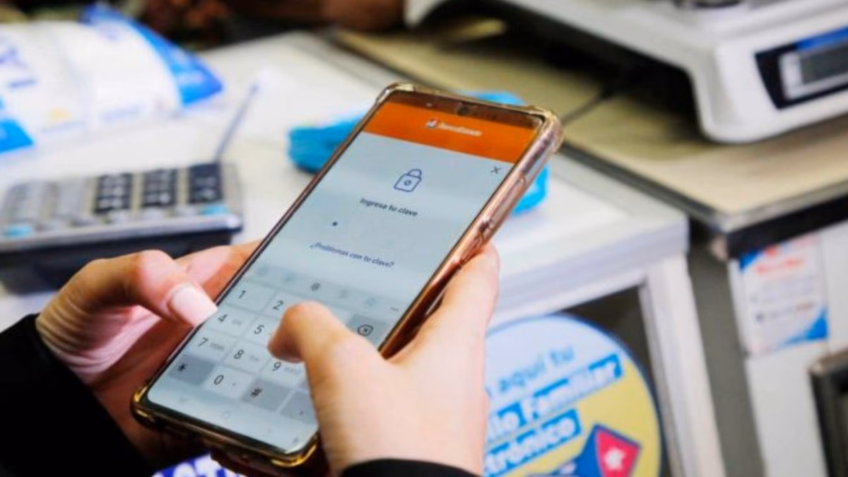 «Reactivación del Bolsillo Familiar Electrónico durante el invierno genera descontento»