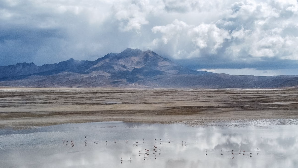 Rechazan segunda propuesta de conciliación de Quiborax en disputa legal por daño ambiental en Salar de Surire
