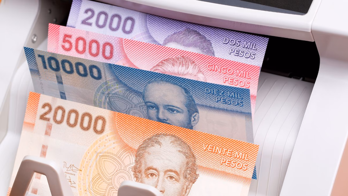 Beneficios con RUT: PGU, Bono Invierno, Aporte Familiar y Cupón de Gas