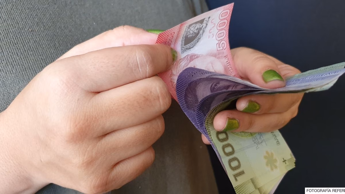Revisa con tu RUT: Así puedes revisar los bonos y beneficios que pueden estar disponibles para ti
