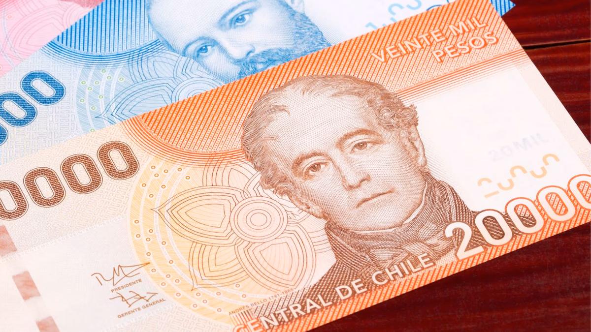 Revisa con tu RUT bonos que no haz cobrado