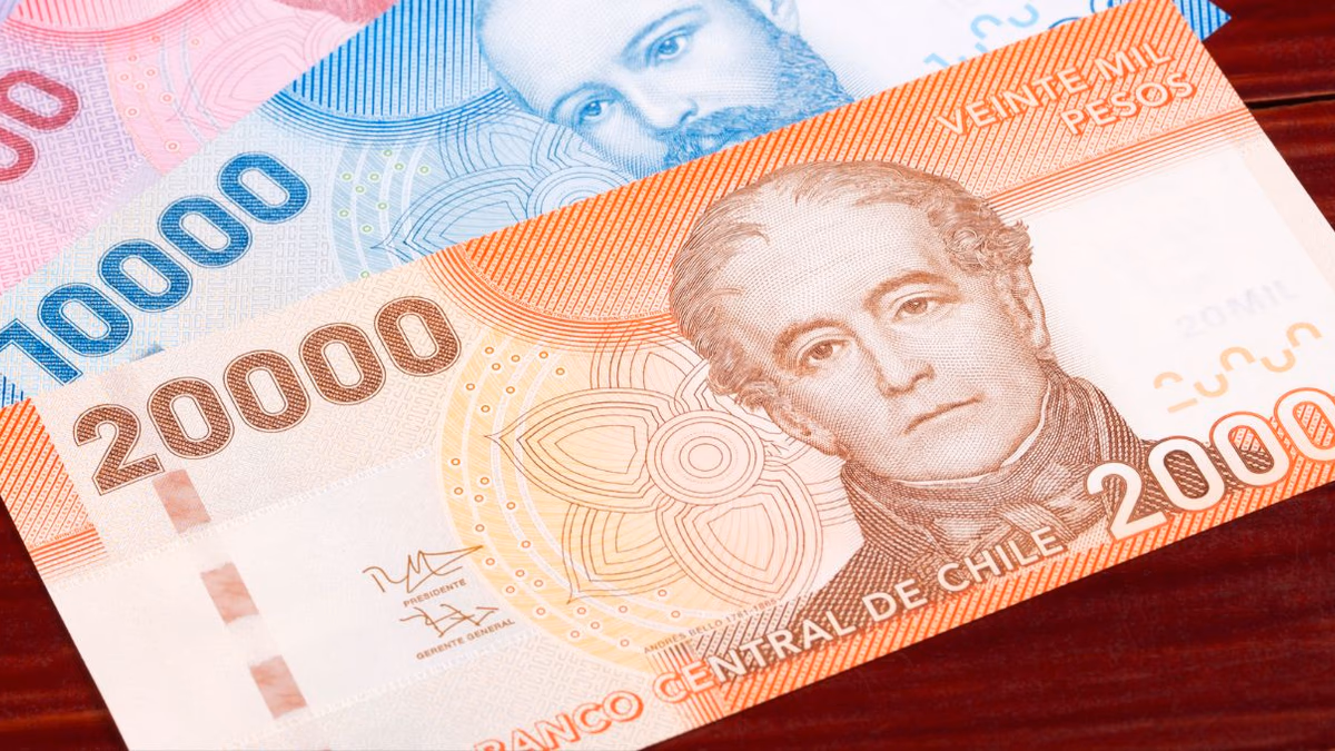 Revisa con tu RUT los Bonos Pendientes del Estado