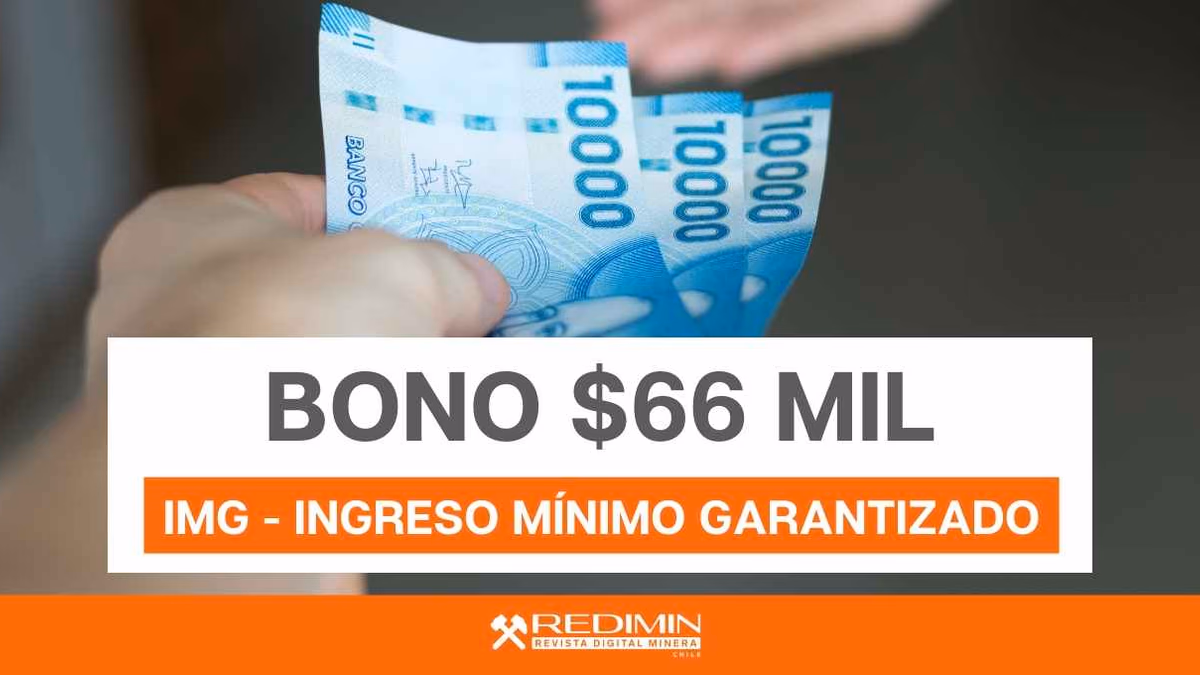 Revisa con tu RUT para solicitar bono IMG de $66 mil