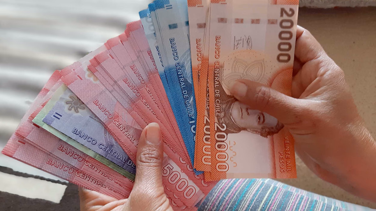 Revisa con tu RUT: Recibe IFE hasta $900 Mil en 2022