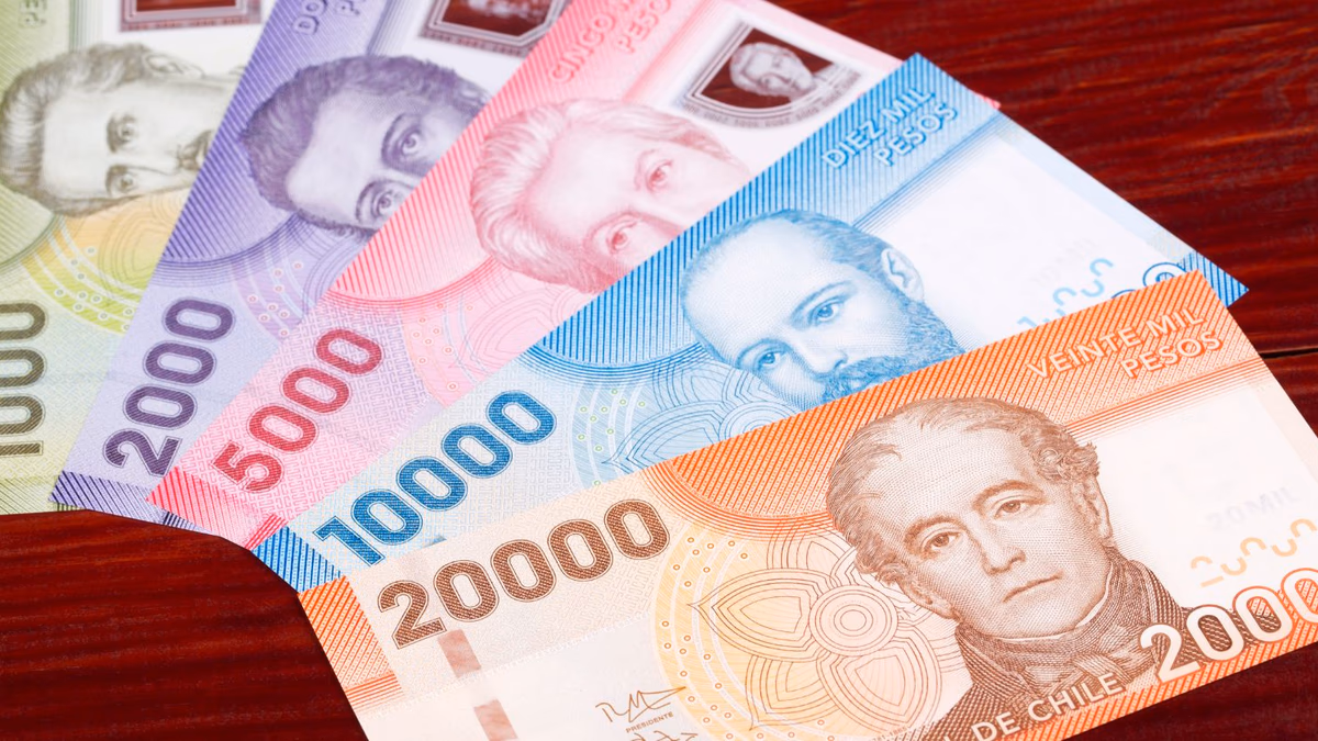 Revisa con tu RUT si tienes pagos del IPS sin cobrar