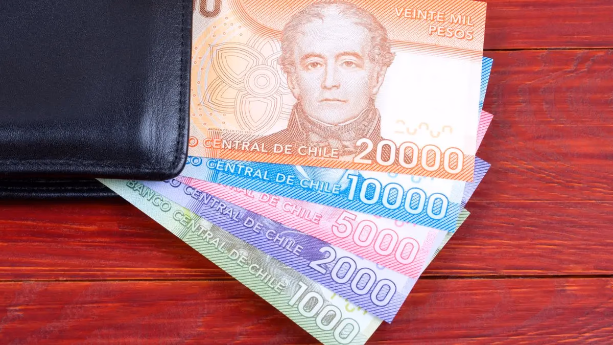 Aumento de PGU: revisa con tu RUT cuándo recibirás el alza a $250.275