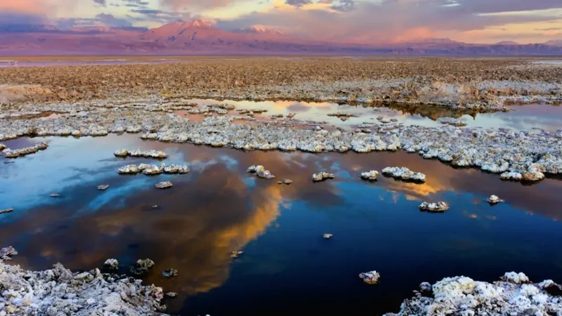 Salar de Atacama: US$1.200 millones en juego por superposición con área protegida y ofensiva de Minera Zaldívar