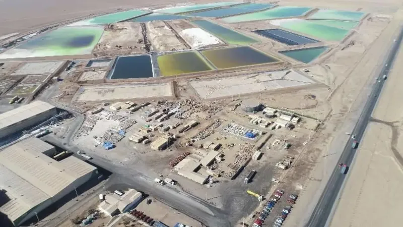 Salar de Atacama: Williams asegura que observaciones por 76 hectáreas protegidas serán “debidamente sopesadas”