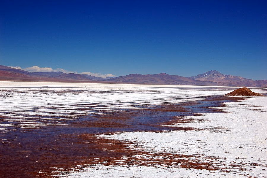 Salar de Maricunga: Grupo Errázuriz acusa incumplimientos de Codelco en incursión en litio y acude al Ministerio de Minería