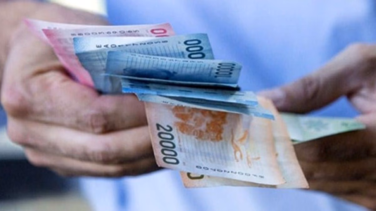 Se acerca el fin del Ingreso Mínimo Garantizado, último pago en junio