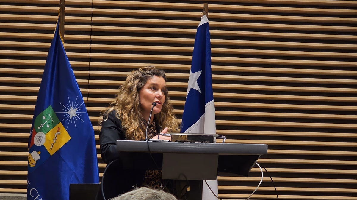 Seminario ampliado marca última etapa en la elaboración de los planes que impulsa el Minvu en materia de mitigación y adaptación al cambio climático para ciudades