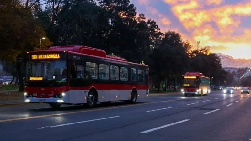 Servicios gratuitos y refuerzos: así operará el transporte público este 16 de noviembre por las Elecciones 2025