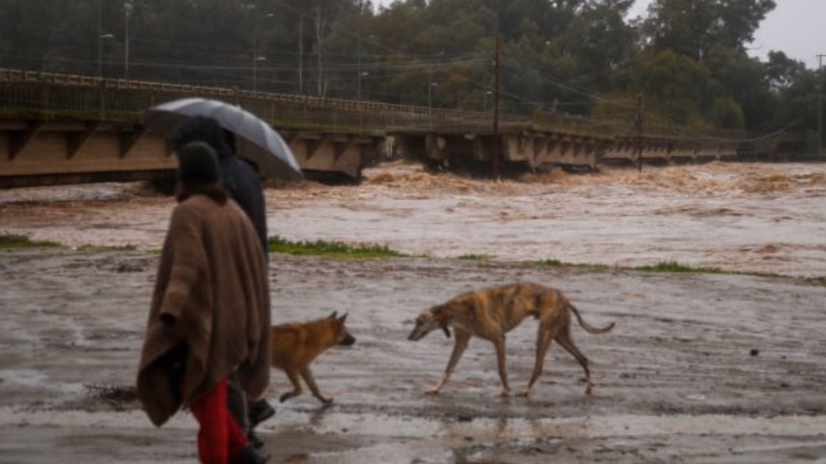 Sistema frontal: Regiones del Maule, Ñuble y Biobío siguen bajo alerta roja