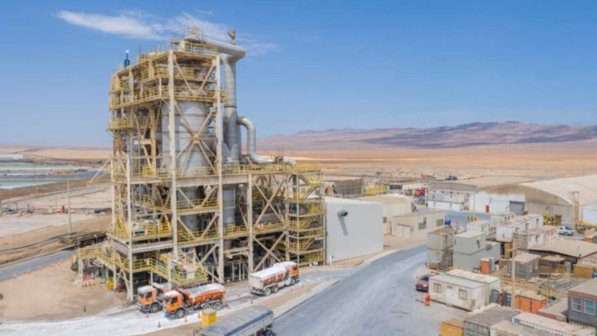 SQM refuerza medidas de protección de fauna en Planta Química de Litio