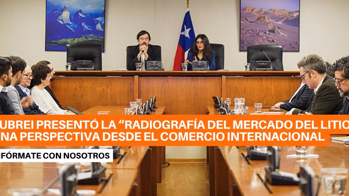 Subsecretaría de Relaciones Económicas Internacionales presenta “Radiografía del mercado del litio: Una perspectiva desde el comercio internacional”