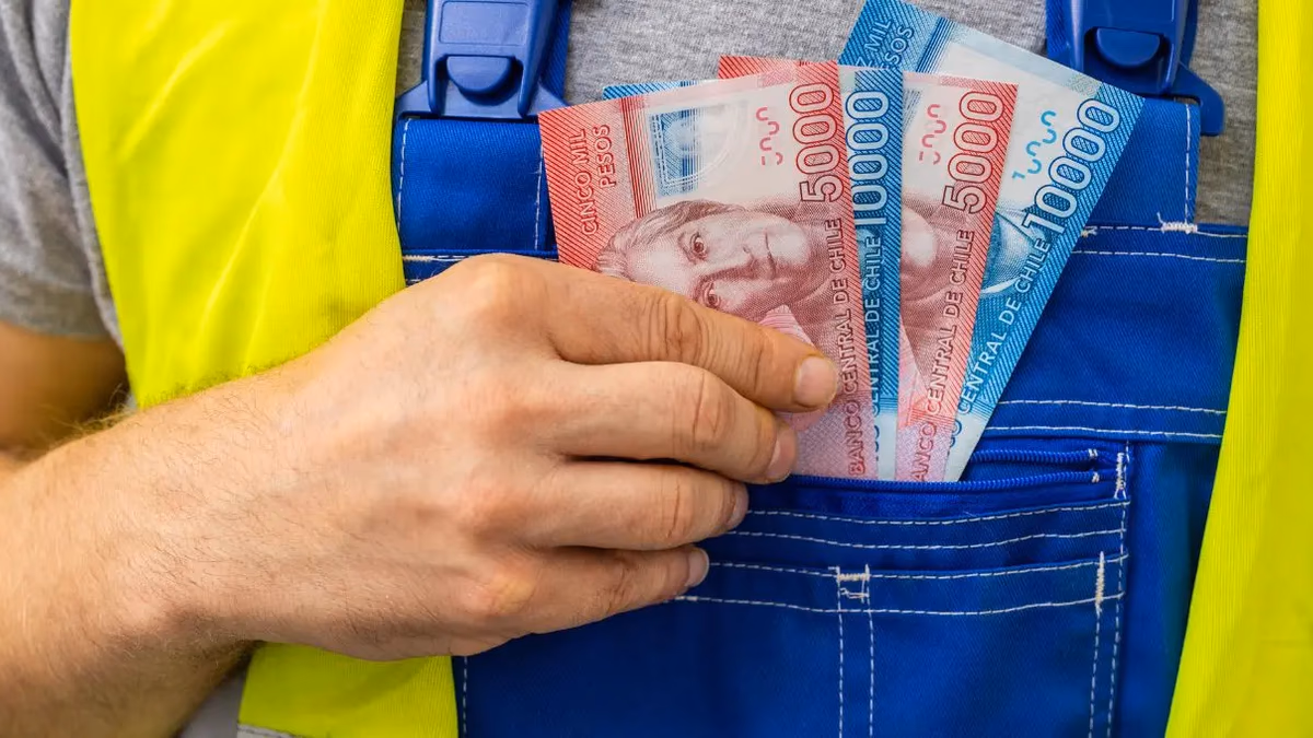 SEJ 2026: monto mensual y consulta de pago con RUT