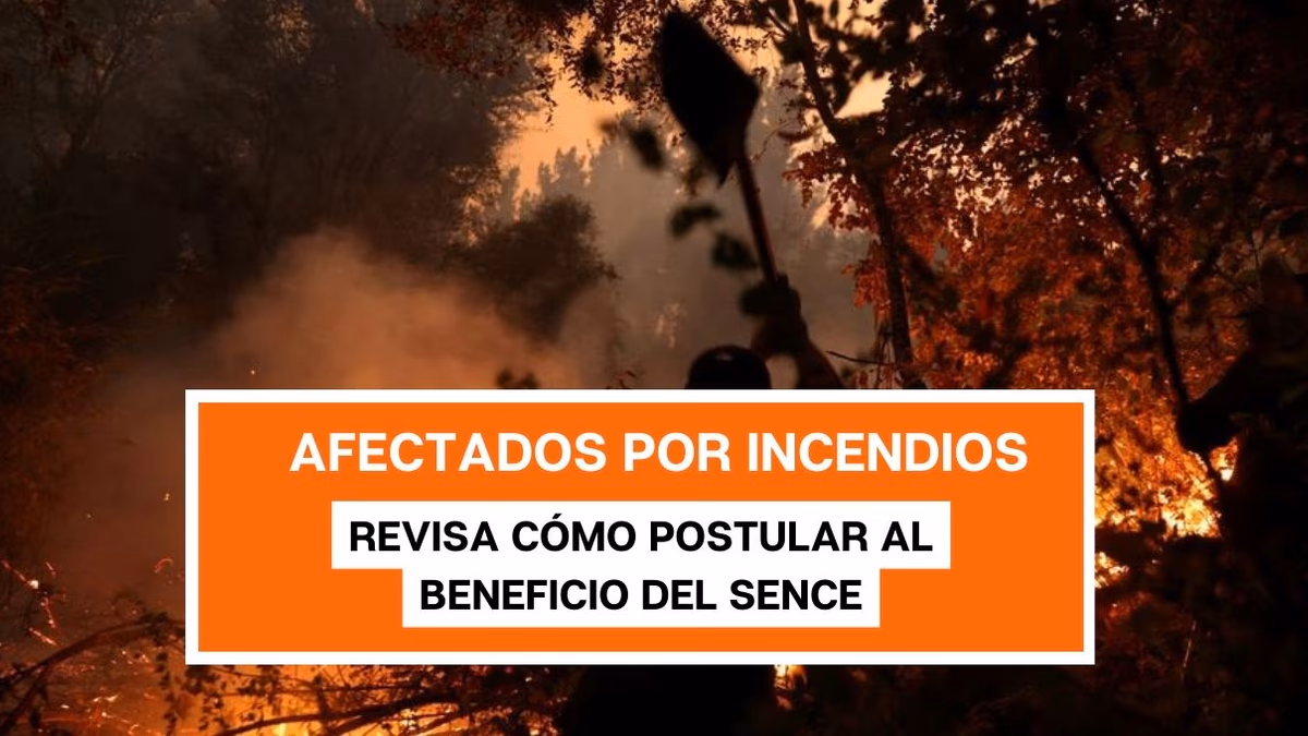 Subsidio para afectados por incendios: revisa cómo postular al beneficio del SENCE