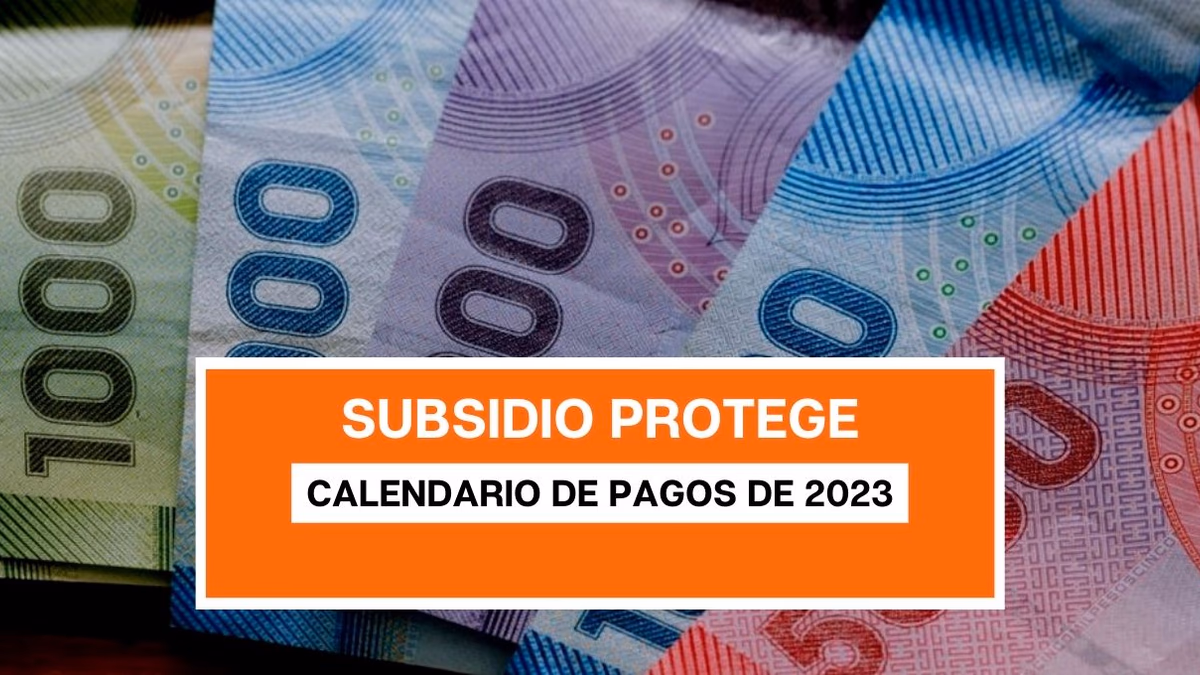 Subsidio Protege: calendario de pagos de 2023