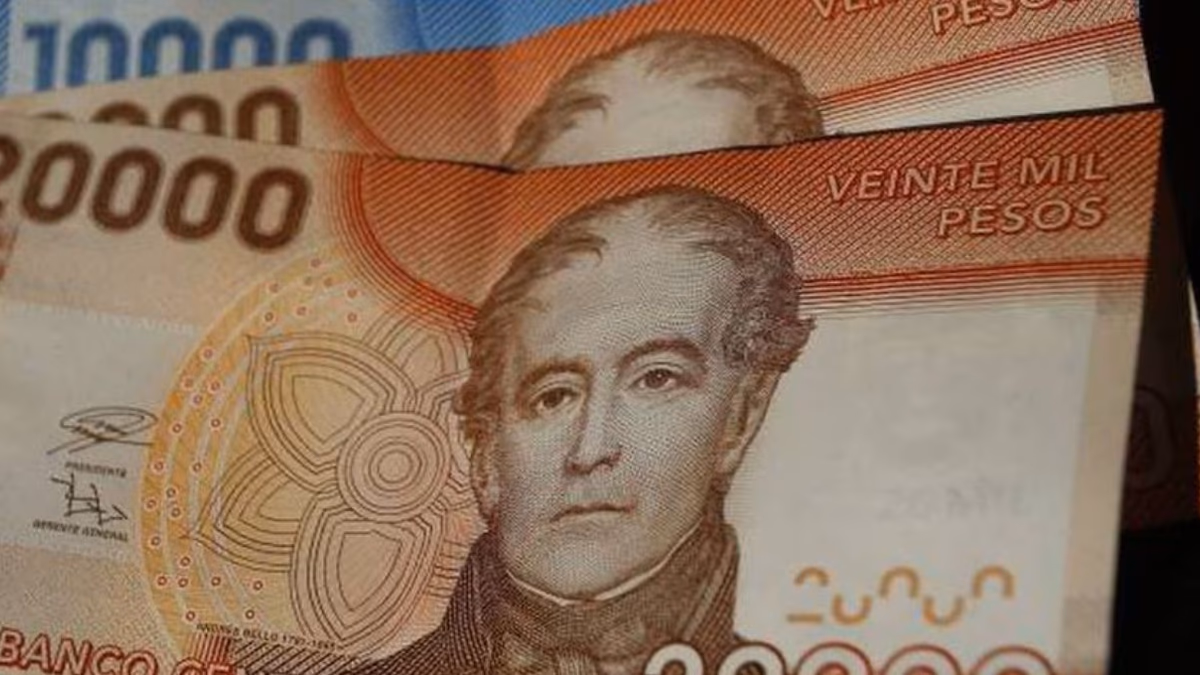 Subsidio Único Familiar: revisa los pagos con tu RUT