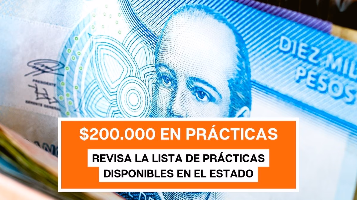 Sueldos de hasta $200 mil: ¿Qué prácticas profesionales y técnicas ofrece el Estado?