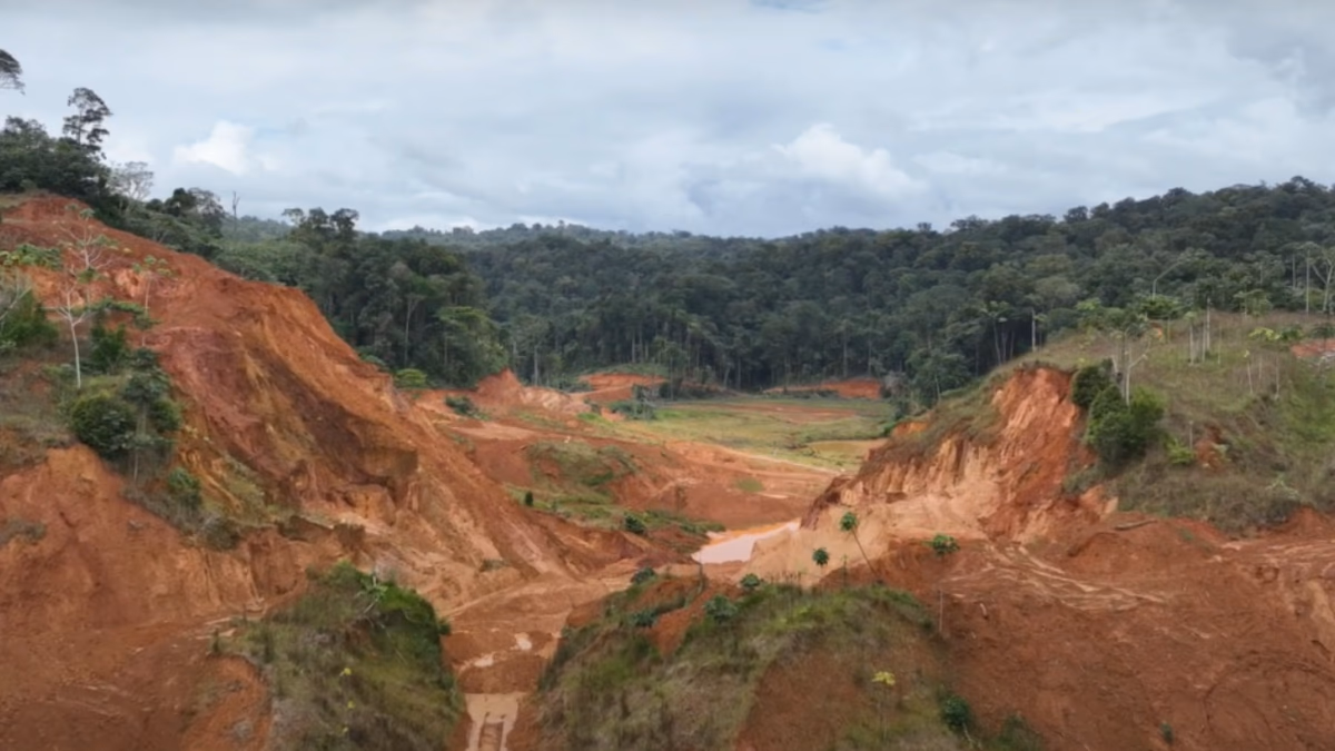 Surinam: Founders Metals se expande a Lower Antino y proporciona una actualización de exploración de mitad de año