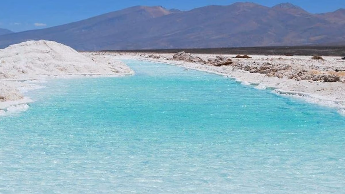 Tianqi Lithium: críticas a SQM y sus planes de alianza con Codelco
